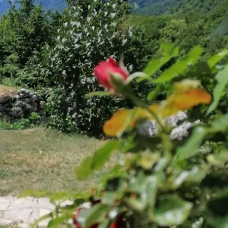 Bungalov 5a Kameno Vrelo
